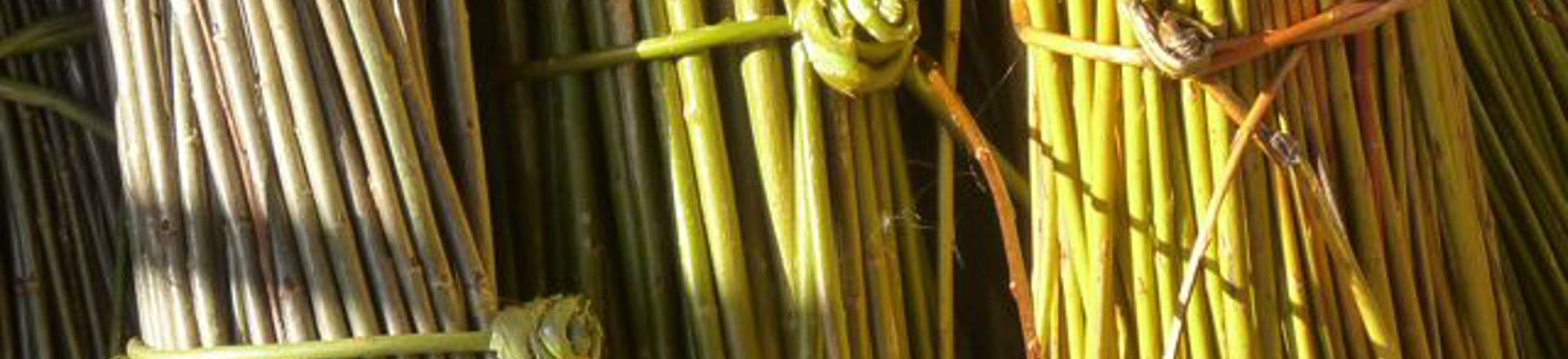 OpenWorkshop1.jpg (2)