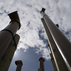 World Organ Colour.jpg