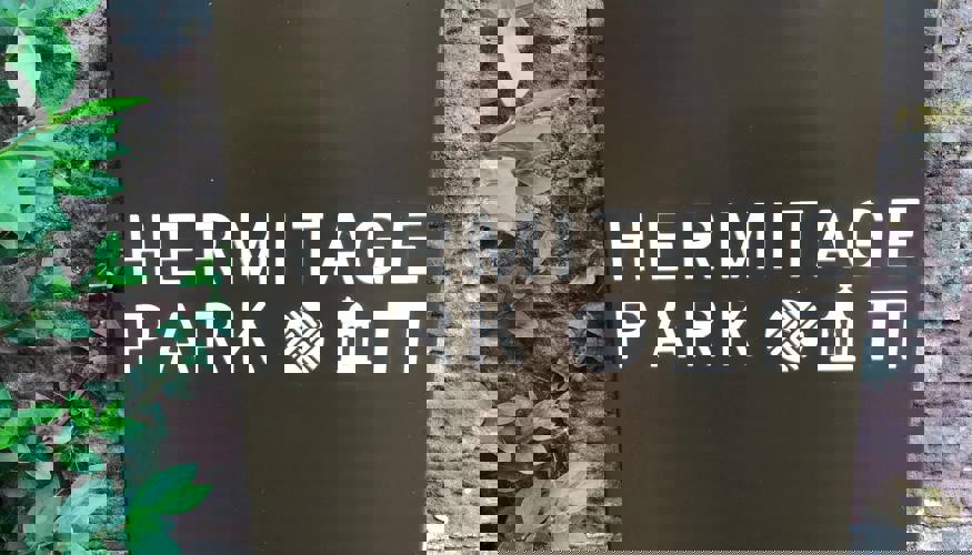 38834125_2299675536978634_837614911591809024_o.jpg (13)