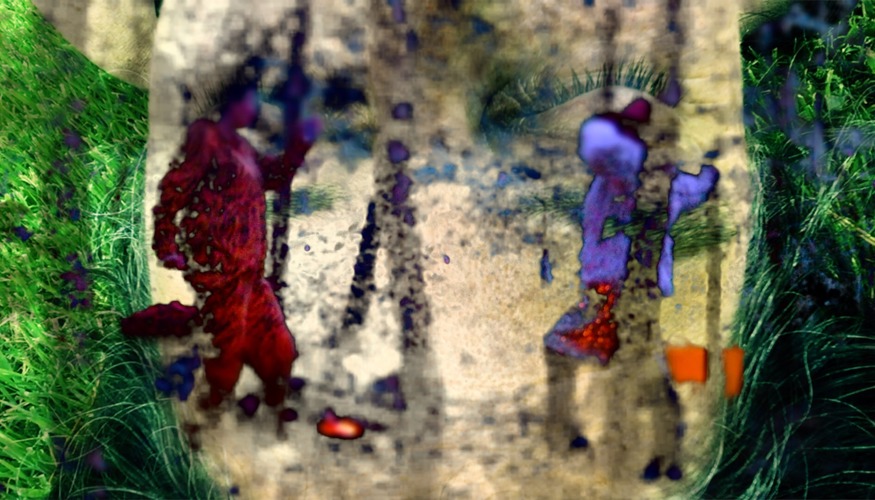 Dream of frolicking.jpg