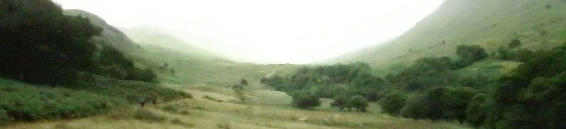 CMT-Im cropped-DSCF4634-glenoe-2018-heder.jpg