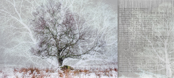 05 Image Fuachd Reothaidh