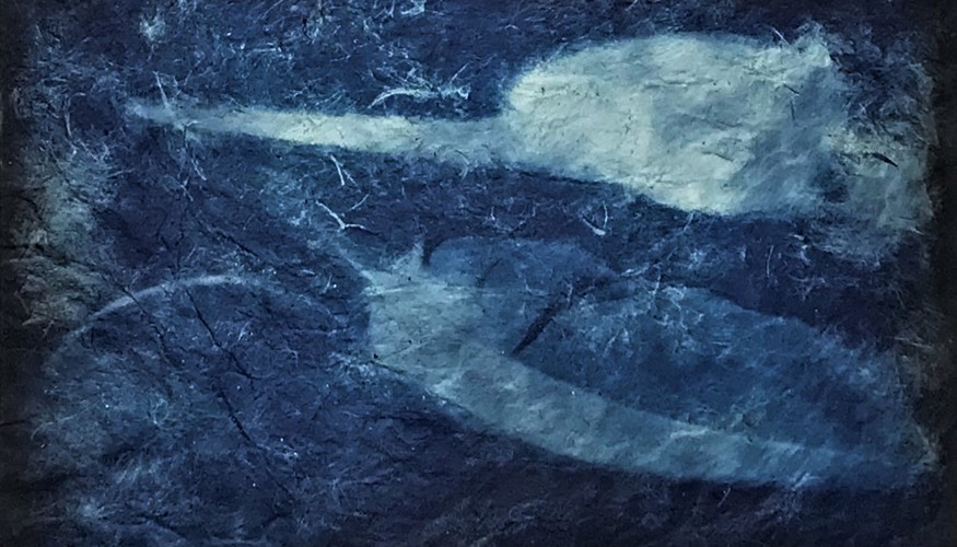 Colmcille, Credit Alicia Hendrick (2)