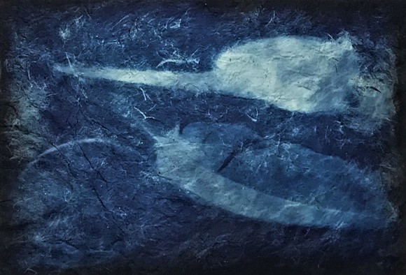 Colmcille, Credit Alicia Hendrick (2)