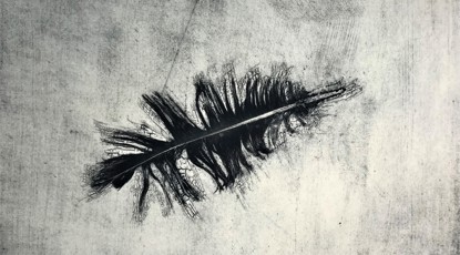 Ite (Gèadh), Cladh An Dìseirt – Feather (Goose), Cladh An Dìseirt, Credit Alicia Hendrick