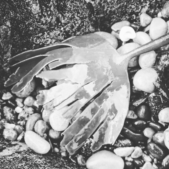 Credit Ailie Robertson (1)