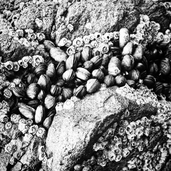 Credit Ailie Robertson