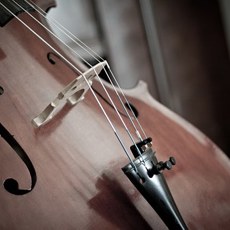 cello-110981__340.jpg