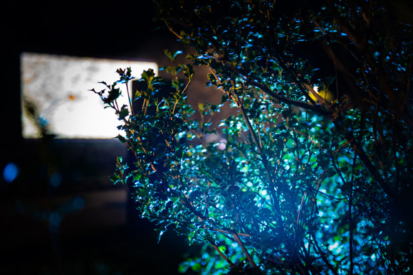 TURAS 2022, Credit Mark Neal (1)