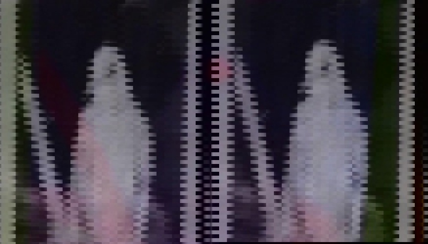 Sarah Boulton, Diamond Dove (Wysing Arts Centre version), installed on phone screen savers of staff and artists during preview of group show, 2018.jpg (14)