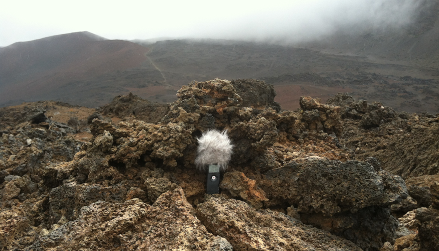 most silent place in the world.png (14)