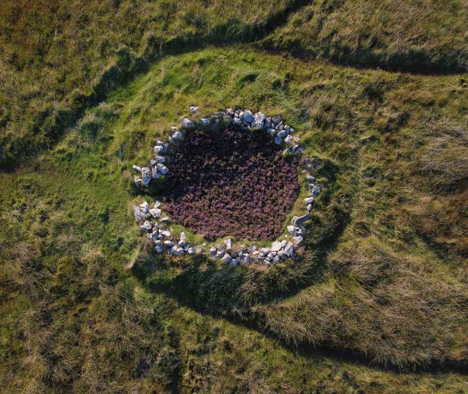 Temporary Installation Of Heather On The First Day Of Autumn At What Is Known As The Hermit’S Cell By Alicia Hendrick.