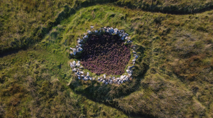 Temporary Installation Of Heather On The First Day Of Autumn At What Is Known As The Hermit’S Cell By Alicia Hendrick.