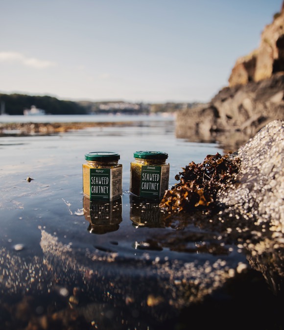 Isle Of Mull Seaweed 3