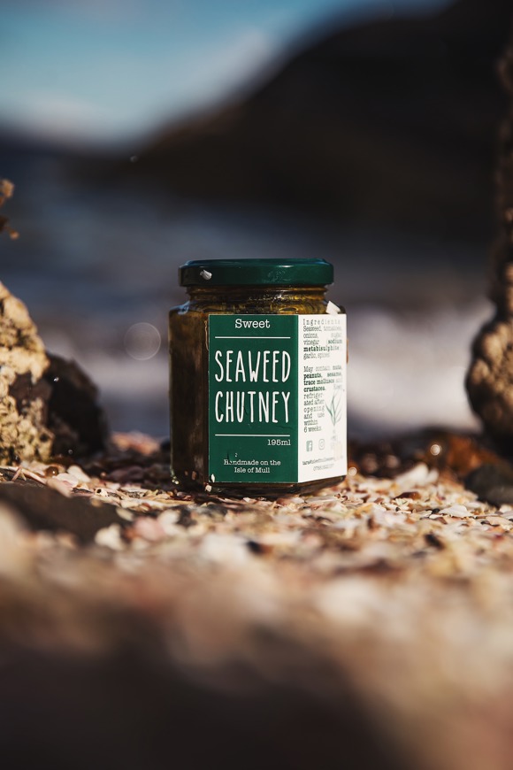 Isle Of Mull Seaweed 4