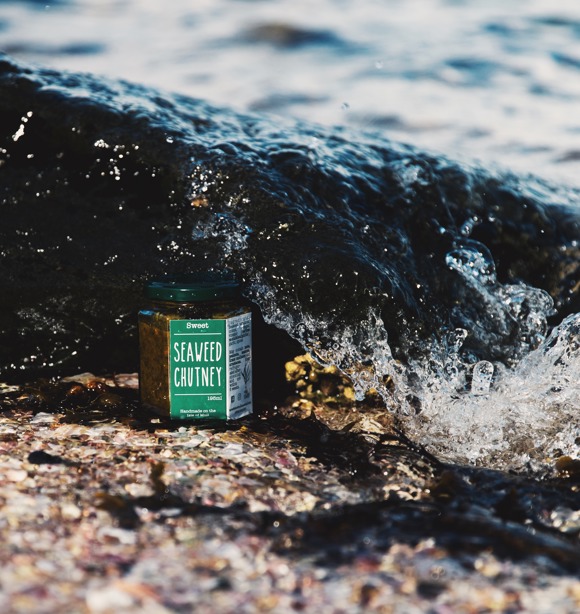 Isle Of Mull Seaweed 6