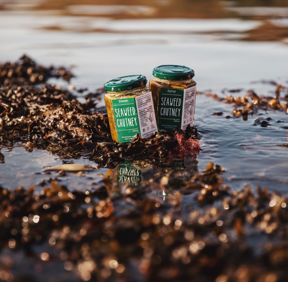 Isle Of Mull Seaweed 2