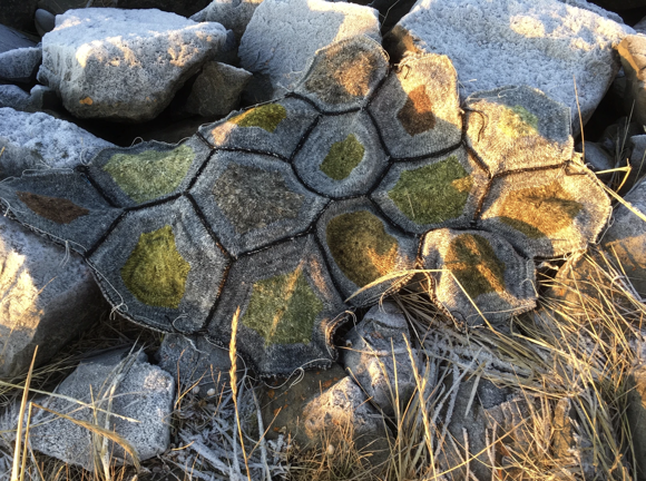 Work In Progress On The Rocks, Deborah Grey