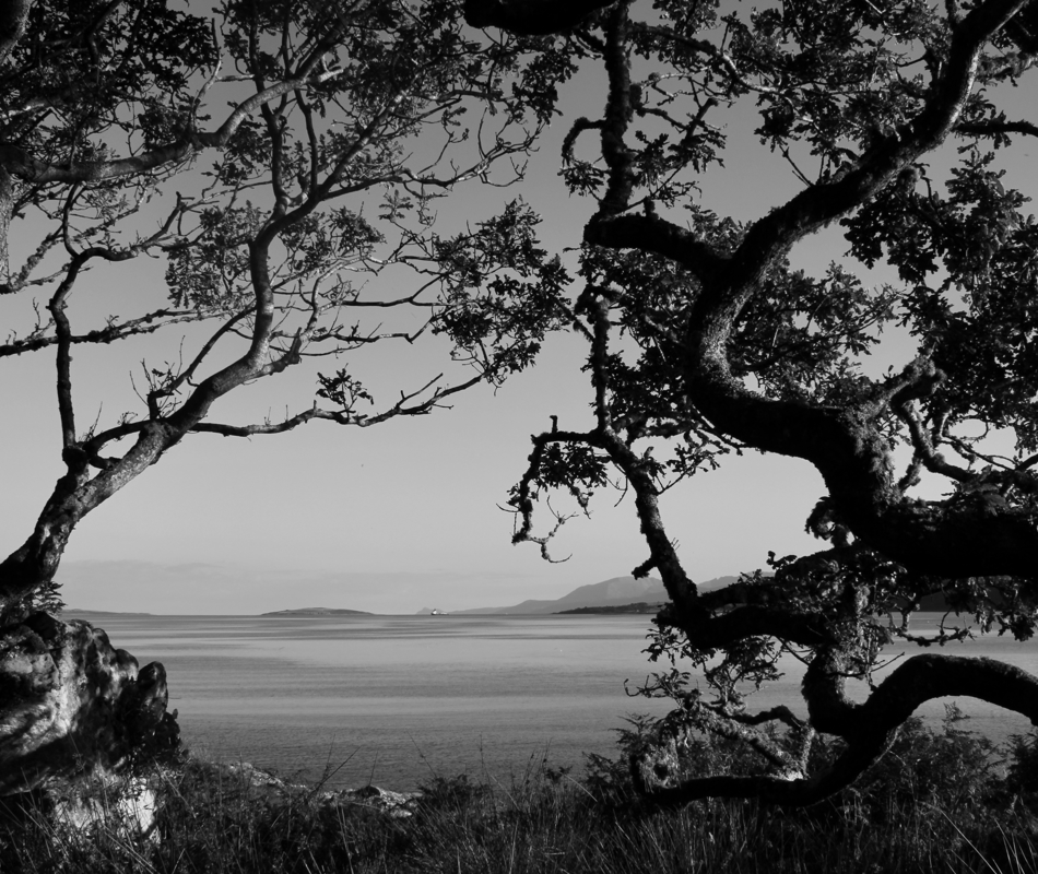 Ferry Point By Scott O'neill, Credit Scott O'neill