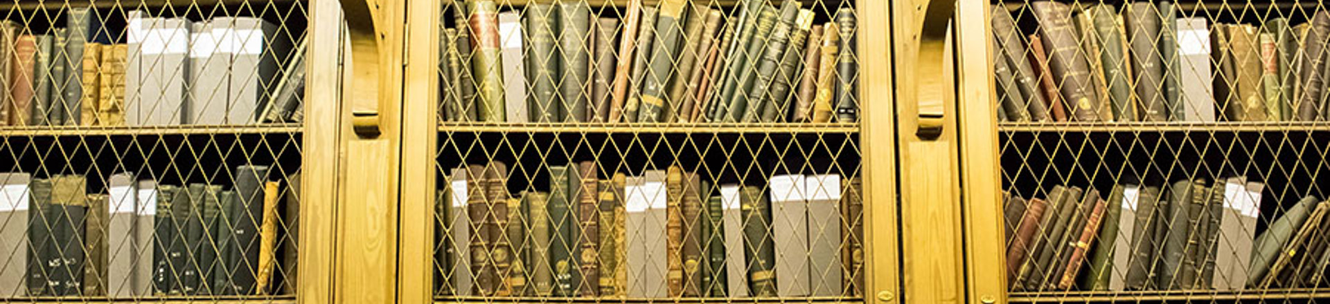 college_photos_10 copy.jpg