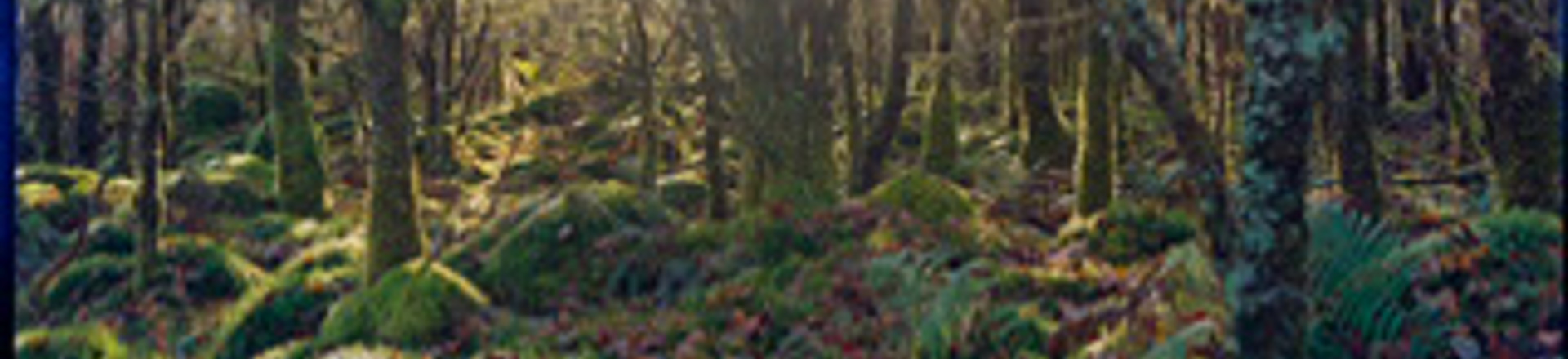 221212 Dalavich-5415.jpeg