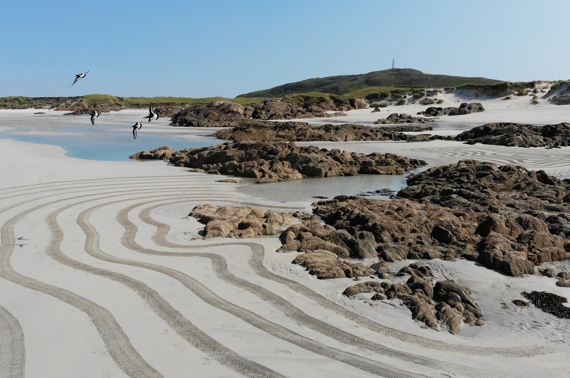 Credit Jack Lockhart, Coast Cultures Res