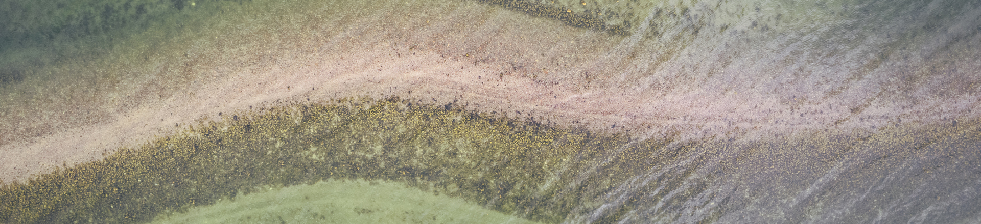 Davaar Drone June July 2023-119.jpg