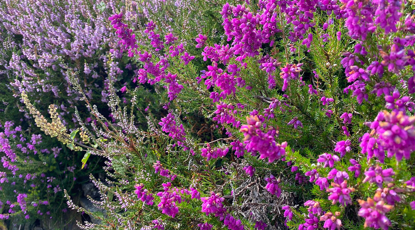 Oifigear Cultair Ghàidhlig Àdhamh Ó Broin Credit CHARTS3