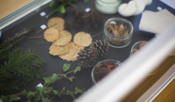 Celtic Colours, Credit Beth Chalmers (1)