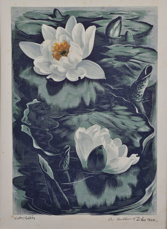 Water Lilies, Agnes Miller Parker, Credit The Argyll Collection © The Artist’S Estate