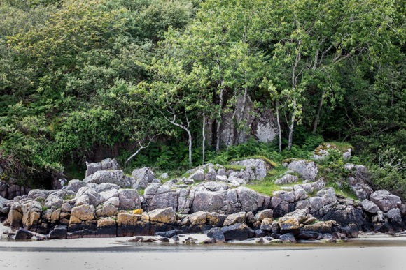 Feàrna, 2023 24, Credit Sarah Darling (1)