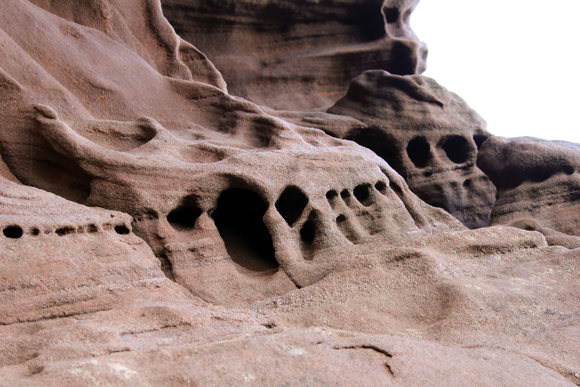 Hawksnib Scottoneill 2023