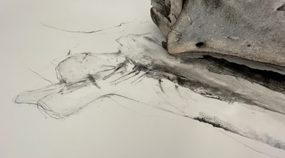 Drawing And Whalebone Artefacts. Grinnebhat Exhibition Room, August 2023. Image By Courtesy The Artist.
