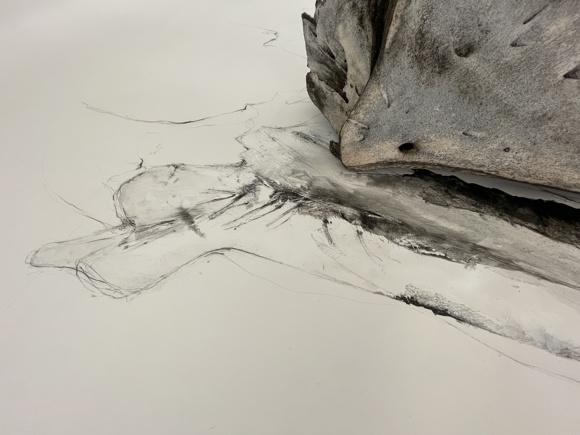 Drawing And Whalebone Artefacts. Grinnebhat Exhibition Room, August 2023. Image By Courtesy The Artist.