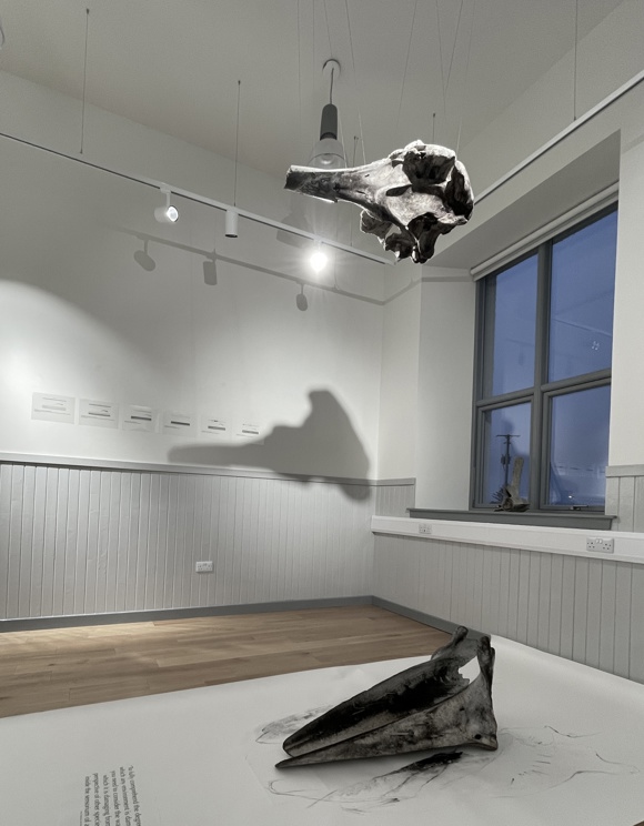 The Bragar Whale Installed At Grinnebhat Exhibition Room, August 2023. Image Courtesy The Artist.