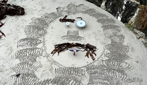 Between The Tides Launch 2023 Credit Jack Lockhart (1)