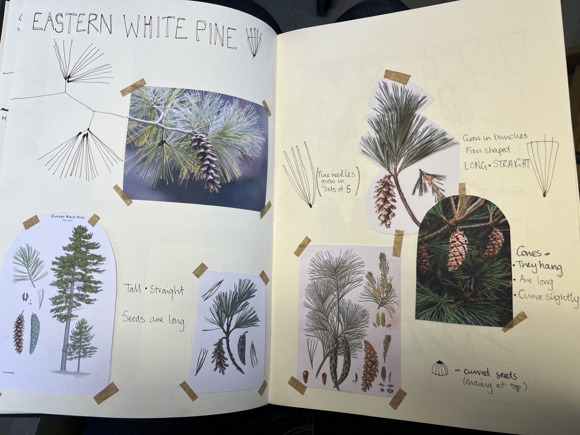 Eve Campbell, 2023 34, Credit Eve Campbell(1)