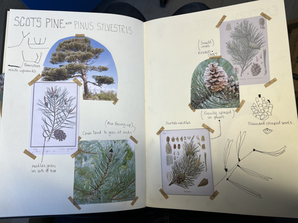 Eve Campbell, 2023 34, Credit Eve Campbell