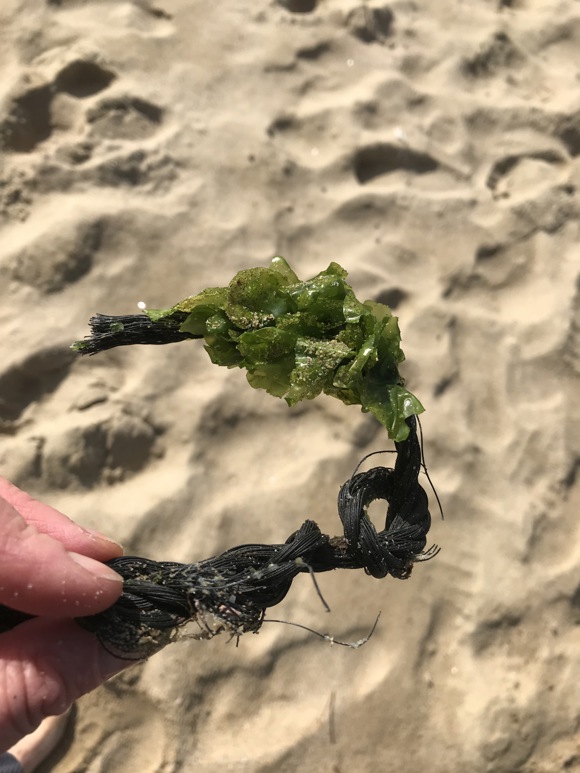 Mekari, 2023 34 Credit Miek Zwamborn(1)