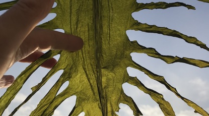 Mekari, 2023 34 Credit Miek Zwamborn