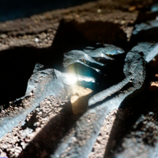 Untitled design (12).png