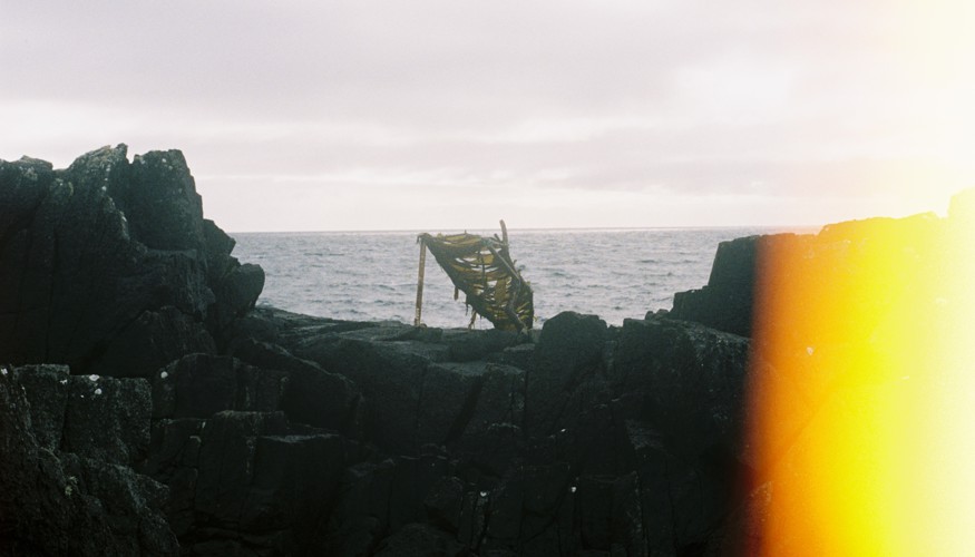 JEMIMA HALL - SEAWEED SHELTER no.5.1analogue.JPG