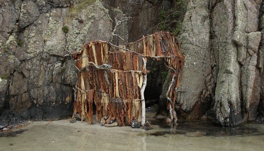JEMIMA HALL - SEAWEED SHELTER no.2.png