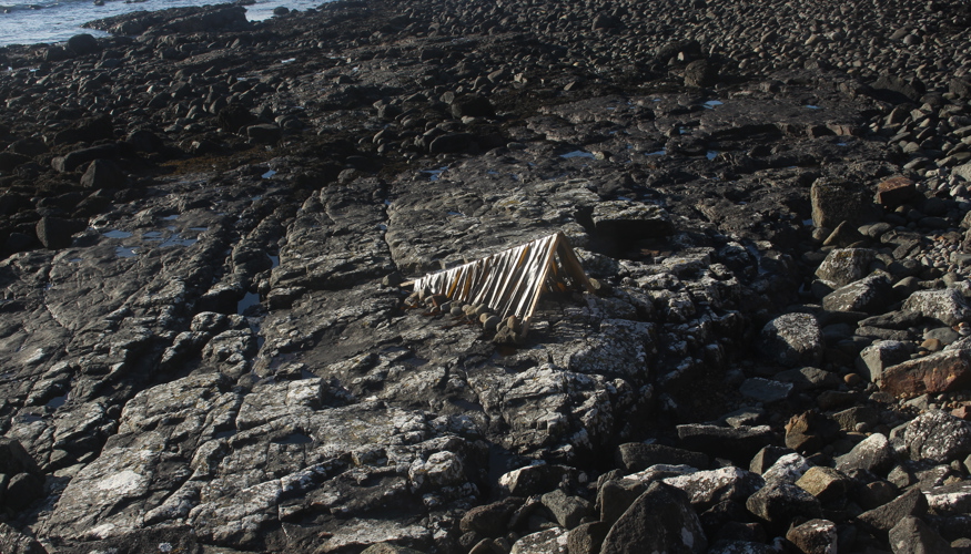 JEMIMA HALL - SEAWEED SHELTER no.6.2.JPG