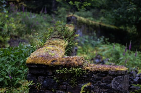'The World On Top Of The Wall'. Credit Paul Campbell