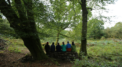 What Can We Build With The Fallen Stones