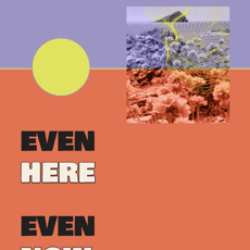 'Even Here, Even Now': Island Artists Advocate for Change