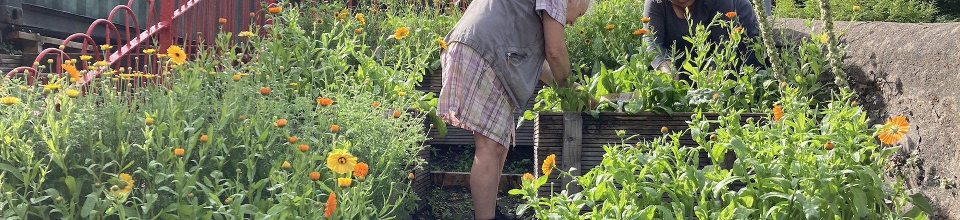 © Naoko Mabon - IMG_5827_Small.JPG