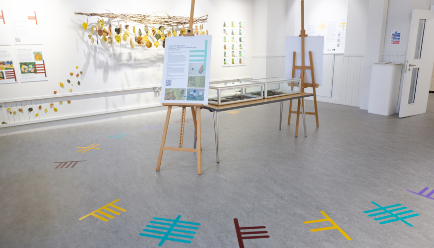 Celtic Colours exhibition at The Rockfield Centre 2023 ©︎Beth Chalmers.jpg