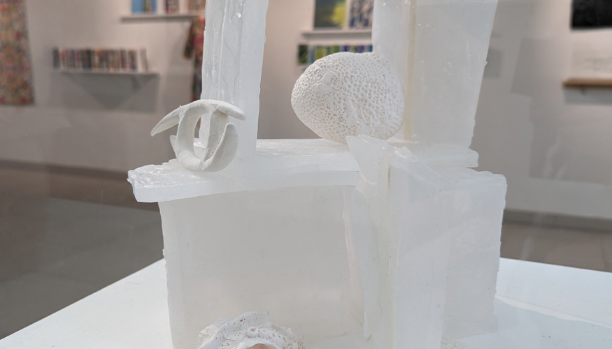 cabinet of curiosities wax paper and clay.jpeg